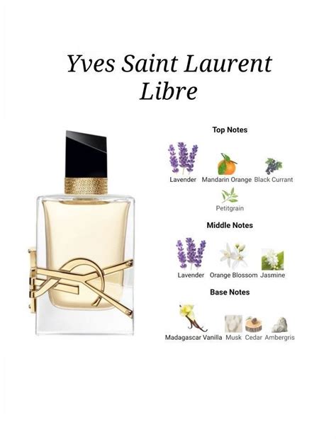 ysl cologne scent notes|YSL cologne free sample.